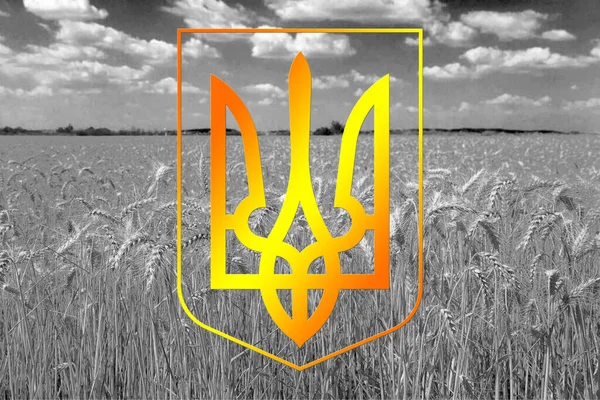 Patriotisches Bild Mit Nationalwappen Der Ukraine — Stockfoto