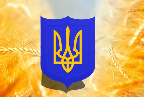 Ukraina Emblem Sköld Patriotisk Tema — Stockfoto