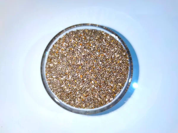 Graines de chia fond blanc