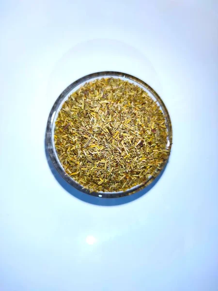 Herbes de provences fond blanc