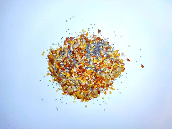 Beyaz arka planda baharatlar ve otlar