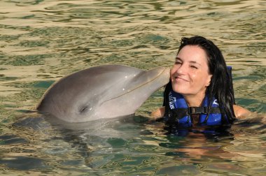delfin le da un beso a una mujer en el mar