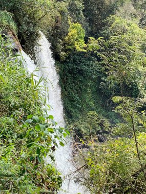 katarata de agua en la selva de Misiones