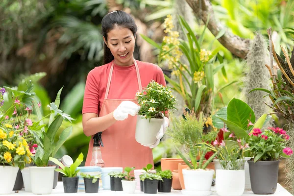 Joven Jardinero Asiático Mujer Cuidado Planta Flor Jardín Gente Asia —  Fotos de Stock