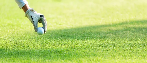 Cerca Mano Asiática Mujer Deportiva Poniendo Pelota Golf Camiseta Con — Foto de Stock