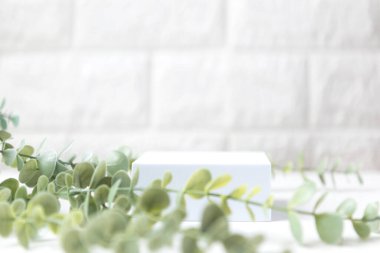 Boş podyum ya da beyaz tuğlalı arka planda papatya yeşili yapraklı kaide. Boş raf ürünü ekran için duruyor