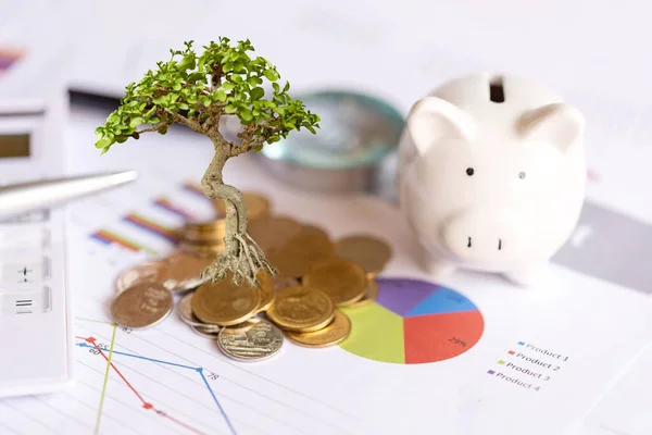 Piggy Tree Growing Money Coin Stack Investment Saving Financial Report — 图库照片