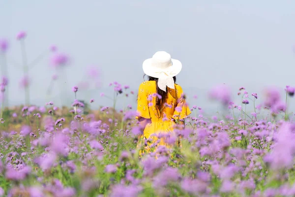 Cestovatel Nebo Turistika Asijské Ženy Stojící Chlad Purpurové Verbena Květinové — Stock fotografie