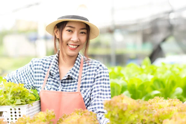 Pemilik Usaha Tani Bekerja Dan Merawat Sayur Sayuran Atau Perawat — Stok Foto