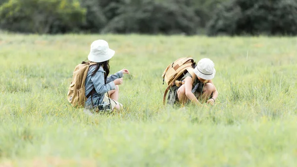 团队朋友的孩子们在大自然的夏天旅行 家庭亚洲人旅游的快乐和乐趣探索户外探险的休闲和目的地教育的自然 旅游生活方式概念 — 图库照片