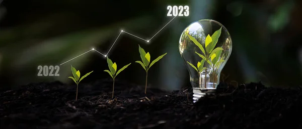 Saving and growth energy and environment.  Tree growth compared to year 2022 to 2023 in light bulb for saving Ecology energy nature. Development to success Year 2023