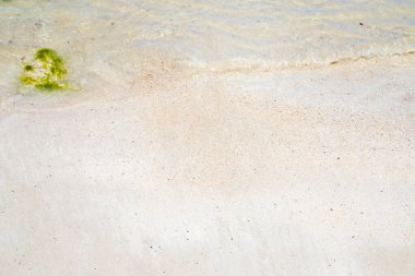 Denizin küçük dalgaları küçük bir sesle kuma vuruyor.