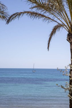 Alicia sahilinde yürümek, yelken açmak için güzel bir gün. 