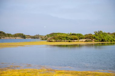 Valencia 'daki Pujol Gölü kuş koruma alanı.