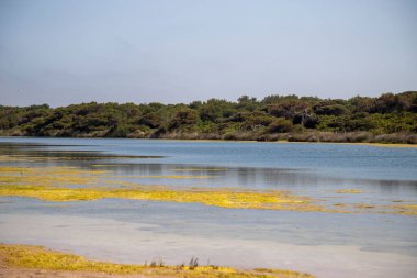Valencia 'daki Pujol Gölü kuş koruma alanı.