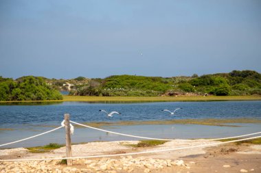 Valencia 'daki Pujol Gölü kuş koruma alanı.