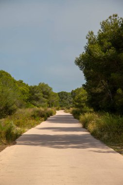 Va 'lı l' Albufera 'nın korunan alanından geçen yürüyüşlerden biri