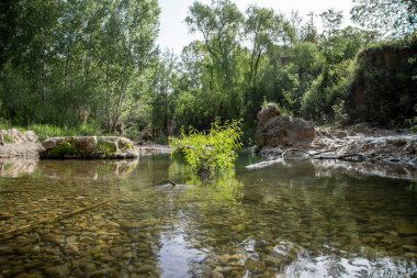 Sel sonrası ağaçlar, gövdeler ve dallarla dolu bir nehir. 