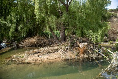 Kötü bakımlı nehirler, her şey selde yok olur.. 