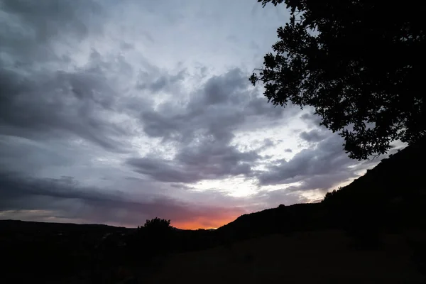 Pôr Sol Com Uma Alfarrobeira Retrocesso — Fotografia de Stock