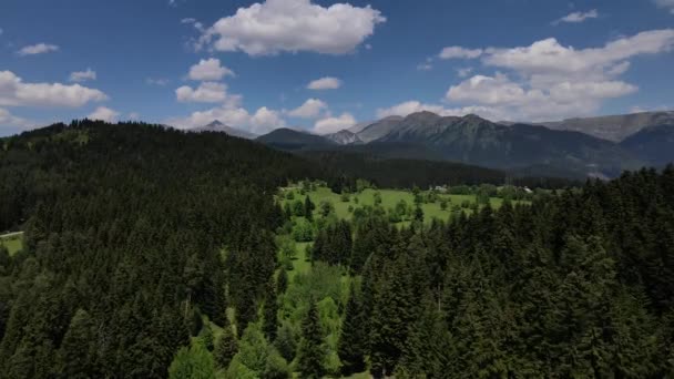 Montañas Bosques Árboles Cielo Azul Nublado Bosques Pino Cedro Carpe — Vídeo de stock