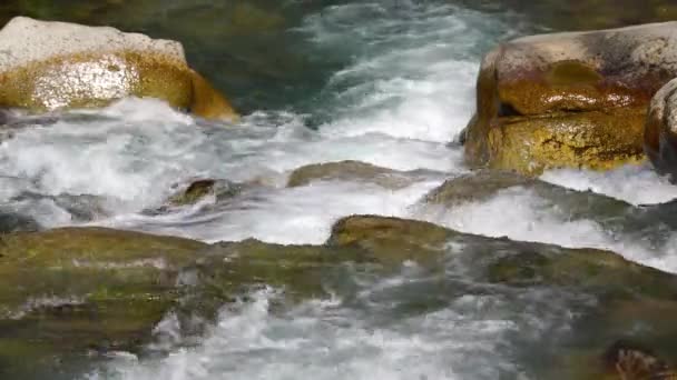 Εντυπωσιακή Θέα Του Ποταμού Που Ρέει Μέσα Από Τις Πέτρες — Αρχείο Βίντεο