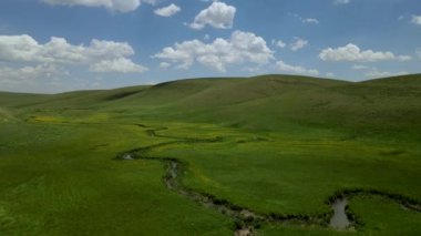 Alp çayırları, orman örtüsünün üst sınırından sonra ortaya çıkan ve aynı zamanda alp çayırları olarak da adlandırılan çayırlardır. Genellikle 2000 rakımdan sonra görünmeye başlarlar..