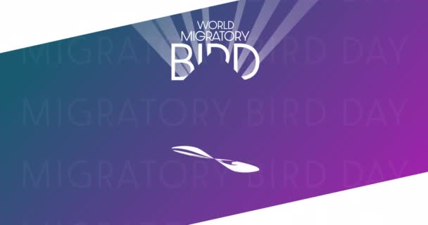 World Migratory Bird Day. HD, 4K footage. Motion design holiday animation. Loop video. — Vídeo de stock