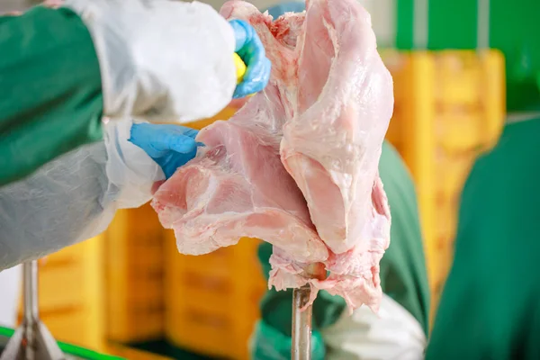 Turkey Production Process Turkey Poultry Farm Worker Cuts Poultry Meat — ストック写真