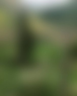 Soyut bulanık arkaplan renkleri karışık