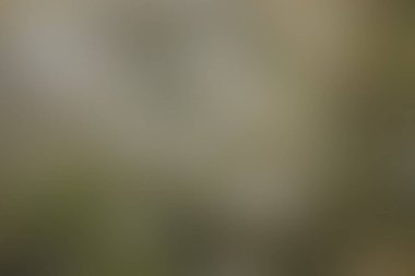 Soyut bulanık arkaplan renkleri karışık