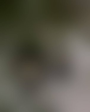 Soyut bulanık arkaplan renkleri karışık