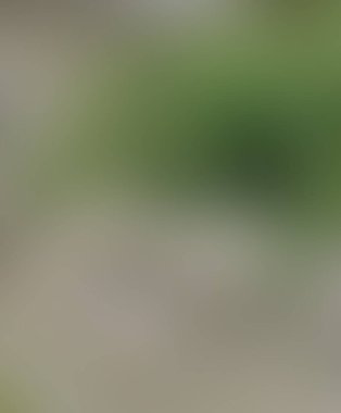 Soyut bulanık arkaplan renkleri karışık