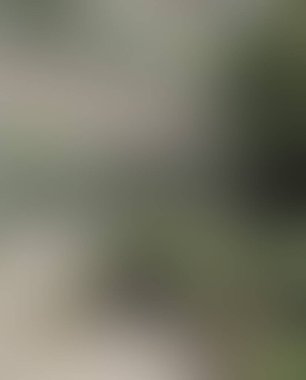 Soyut bulanık arkaplan renkleri karışık