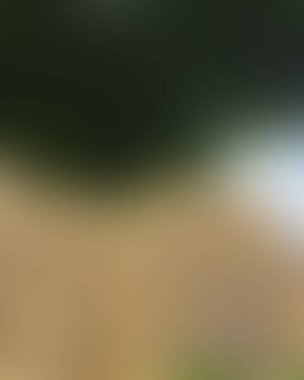 Soyut bulanık arkaplan renkleri karışık