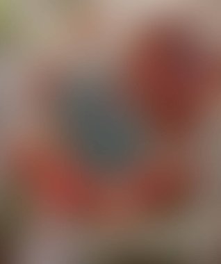 Soyut bulanık arkaplan renkleri karışık