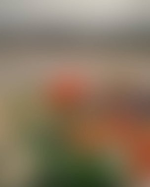 Soyut bulanık arkaplan renkleri karışık