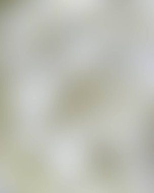 Soyut bulanık arkaplan renkleri karışık