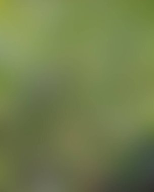 Soyut bulanık arkaplan renkleri karışık