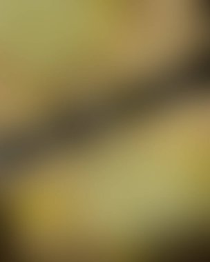 Soyut bulanık arkaplan renkleri karışık