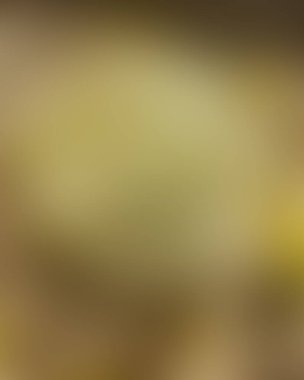 Soyut bulanık arkaplan renkleri karışık