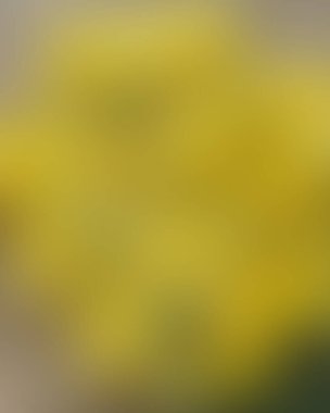 Soyut bulanık arkaplan renkleri karışık 