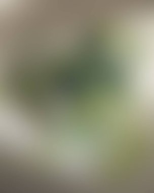 Soyut bulanık arkaplan renkleri karışık 