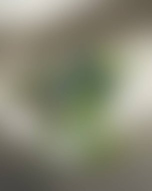 Soyut bulanık arkaplan renkleri karışık 