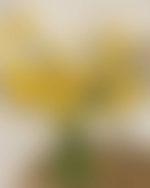 Soyut bulanık arkaplan renkleri karışık 