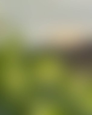 Soyut bulanık arkaplan renkleri karışık 