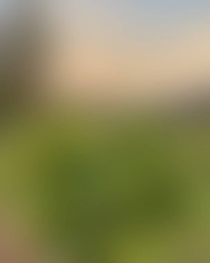 Soyut bulanık arkaplan renkleri karışık 