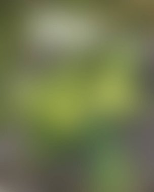 Soyut bulanık arkaplan renkleri karışık 