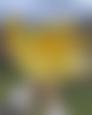 Soyut bulanık arkaplan renkleri karışık 