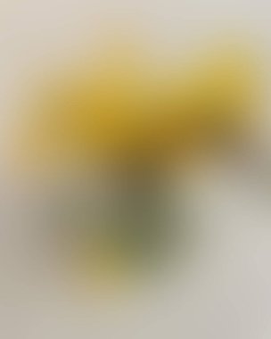 Soyut bulanık arkaplan renkleri karışık 